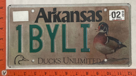 2002 Arkansas #1BYLI Passenger License Plate