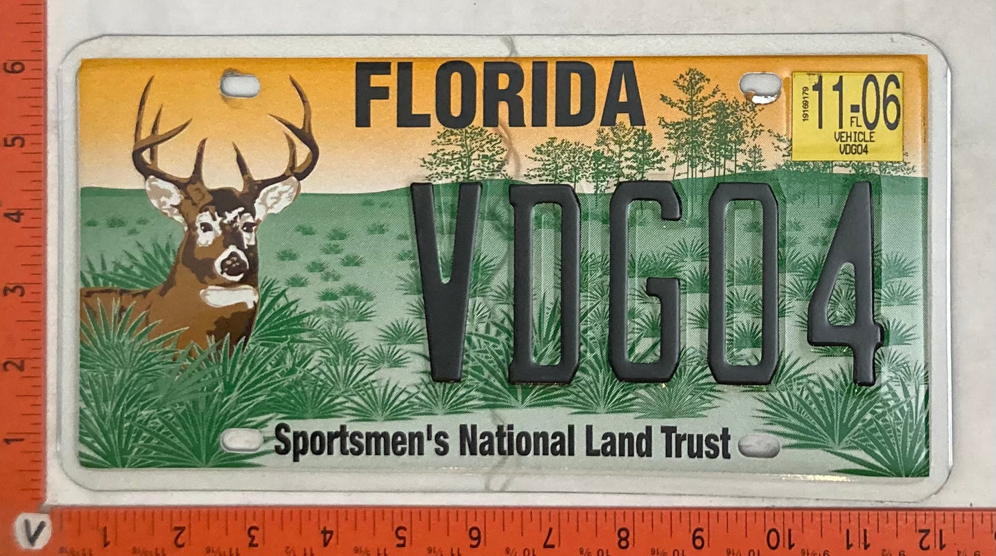 2006 Florida #VDG04 Passenger License Plate