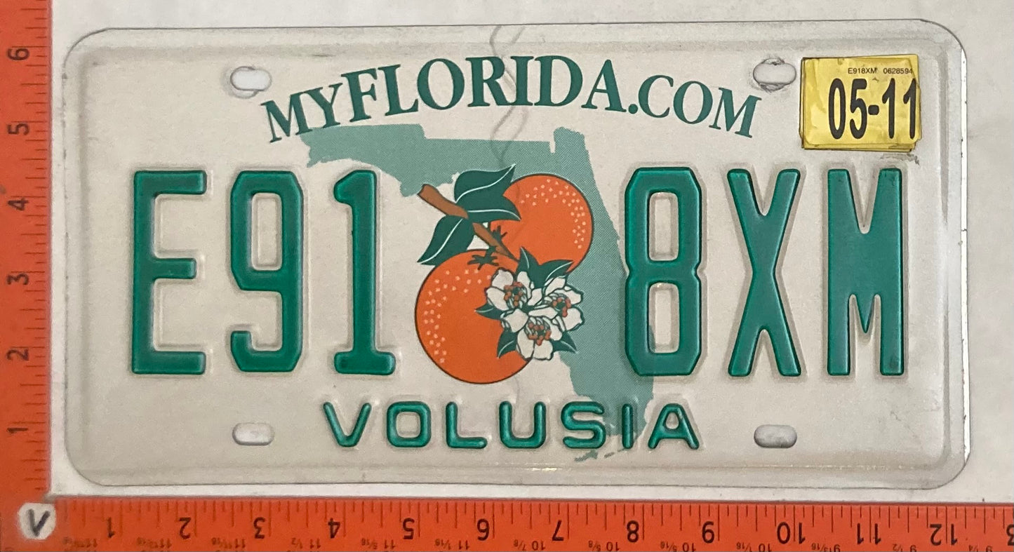 2011 Florida #E91 8XN Passenger License Plate