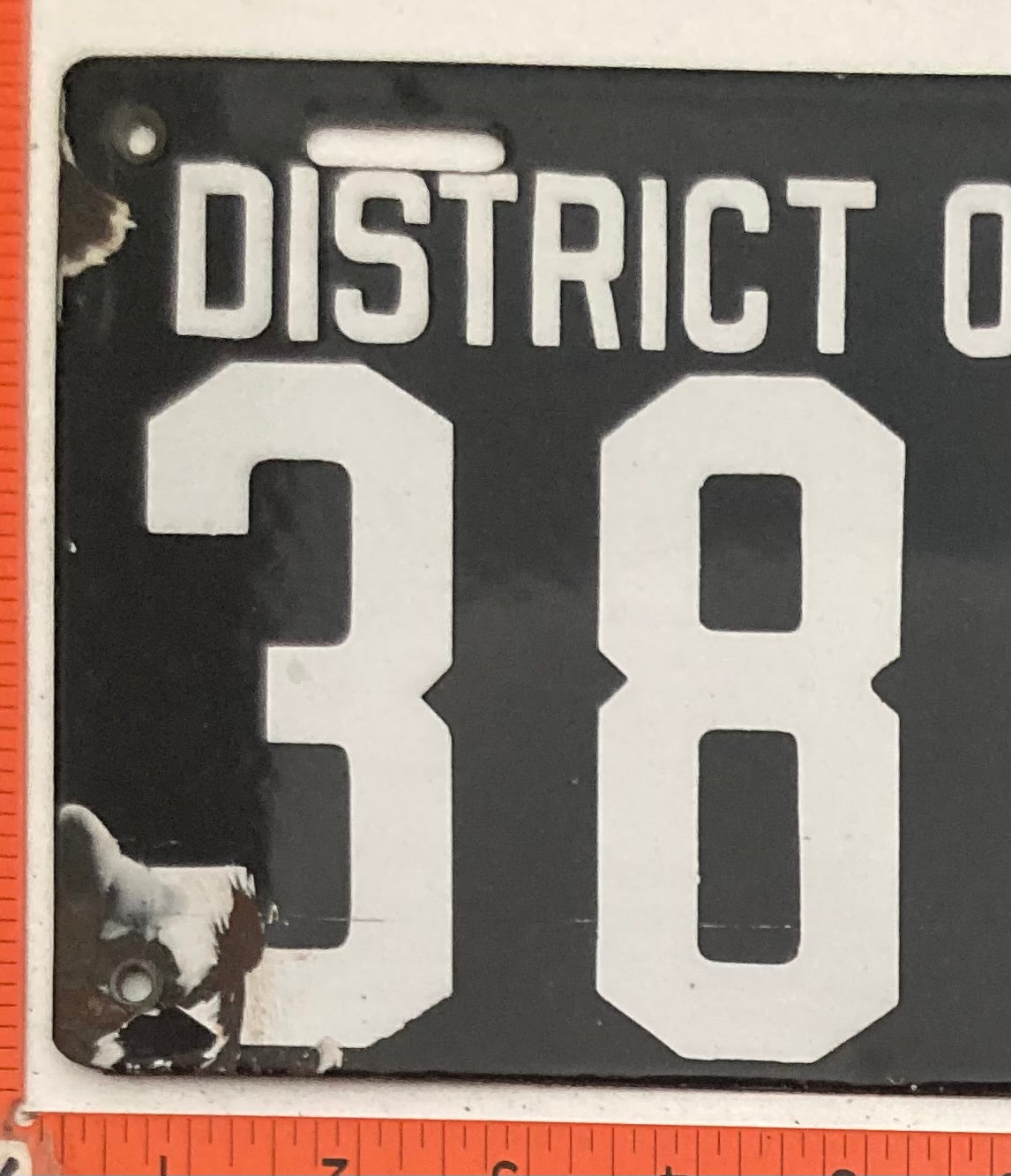 Undated Washington, DC #38081 Passenger License Plate (Porcelain)