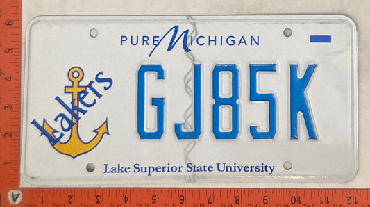 Undated Michigan #GJ85KPassenger License Plate