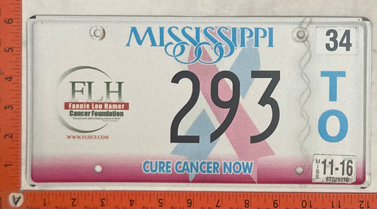 2016 Mississippi #293 T/O Passenger License Plate