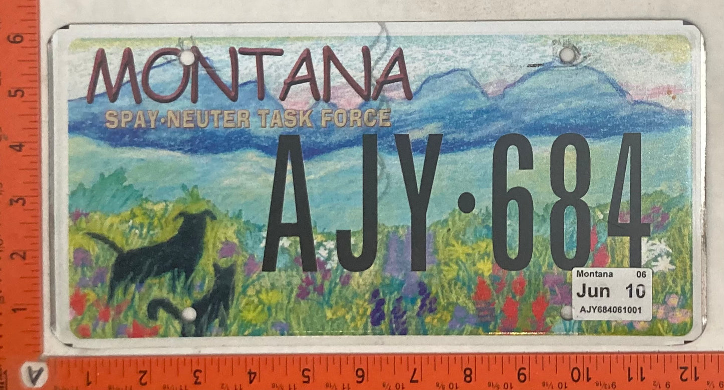2010 Montana #AJY-684 Passenger License Plate