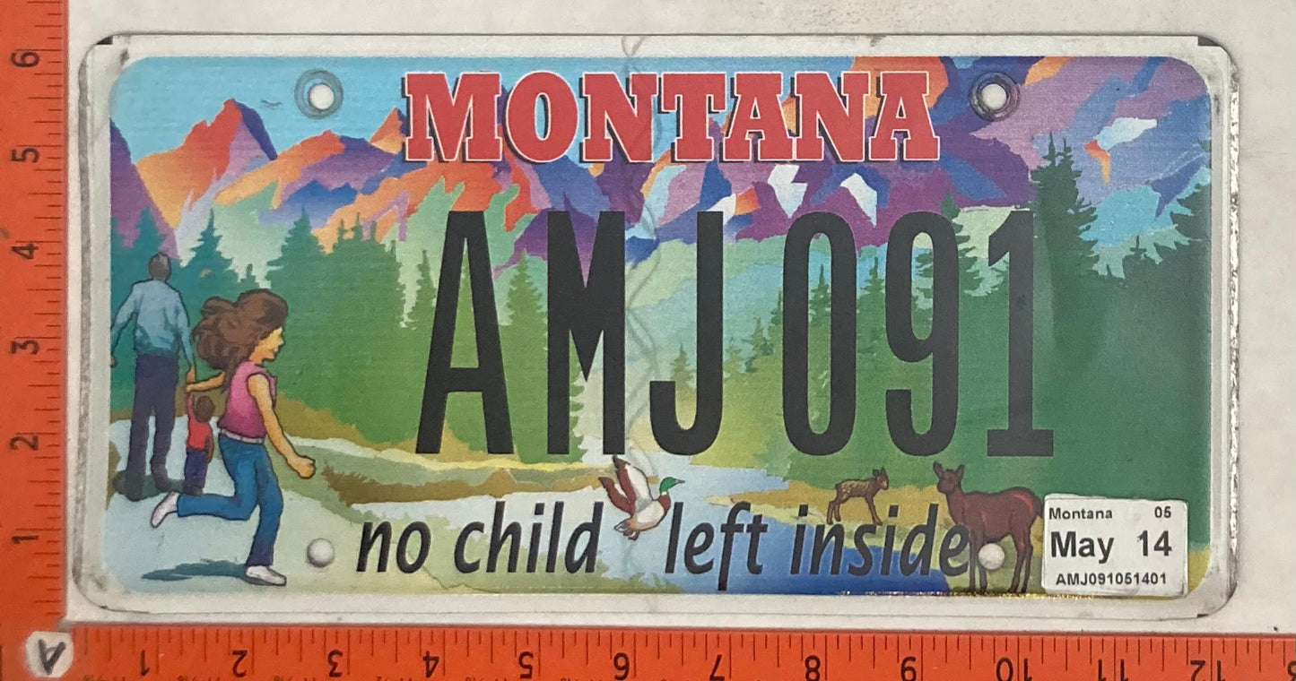 2014 Montana #AMJ091 Passenger License Plate