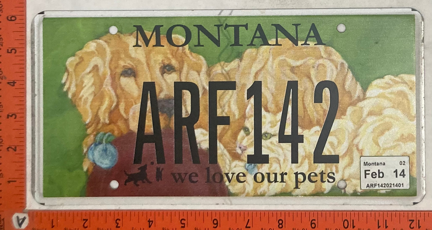 2014 Montana #ARF142 Passenger License Plate