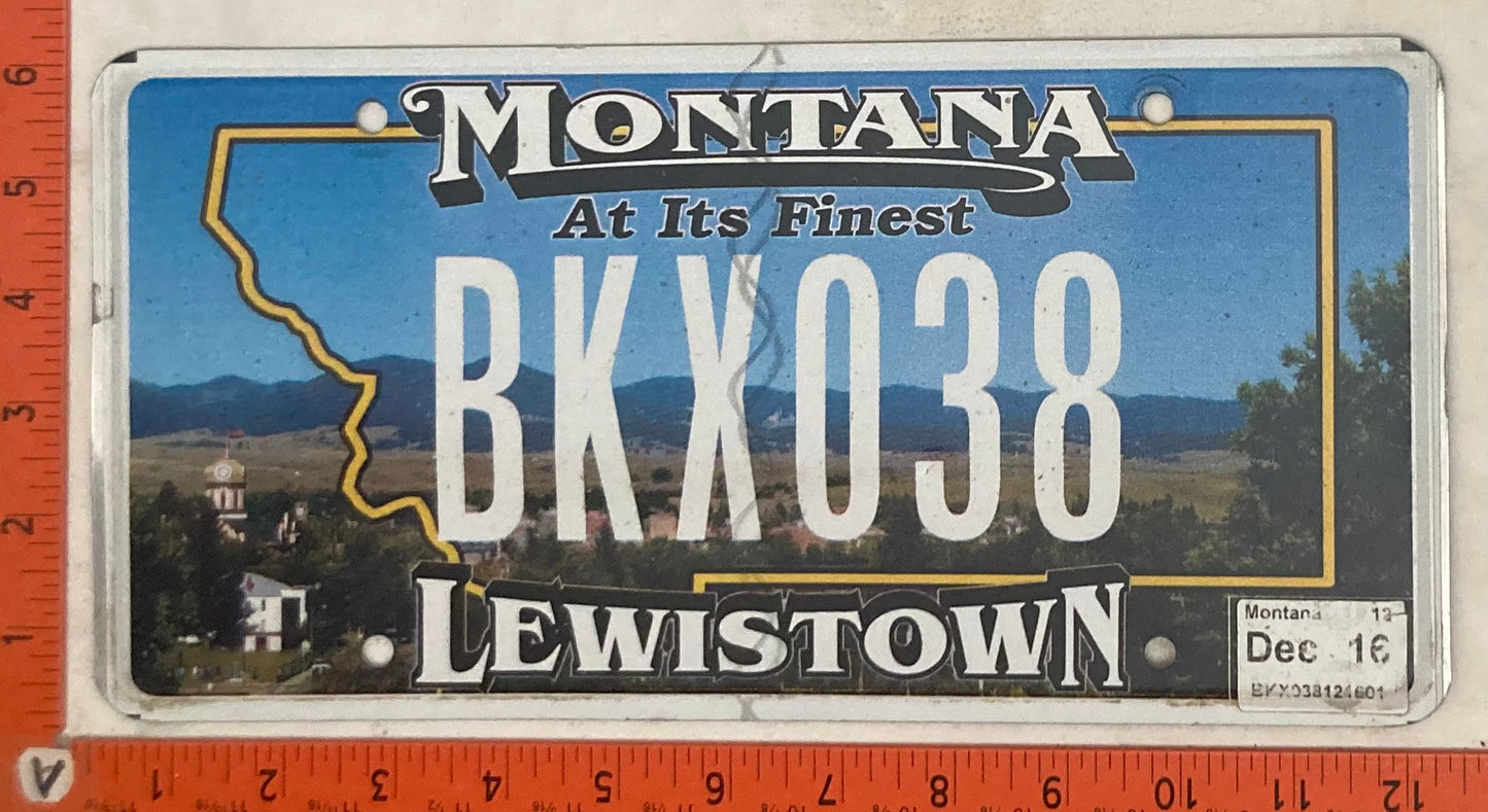 2016 Montana #BKX038 Passenger License Plate