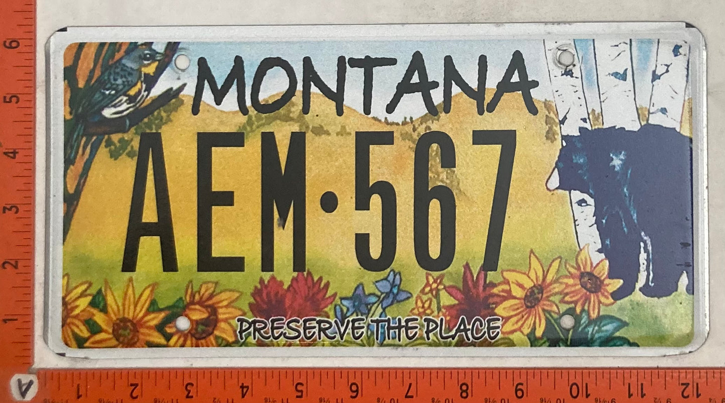 Undated Montana #AEM-567 Passenger License Plate