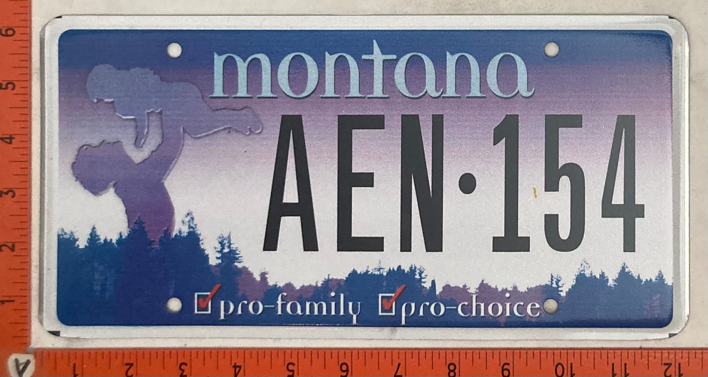Undated Montana #AEN-154 Passenger License Plate