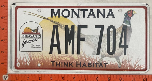 Undated Montana #AMF 704 Passenger License Plate