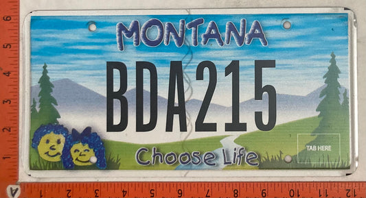 Undated Montana #BDA215 Passenger License Plate