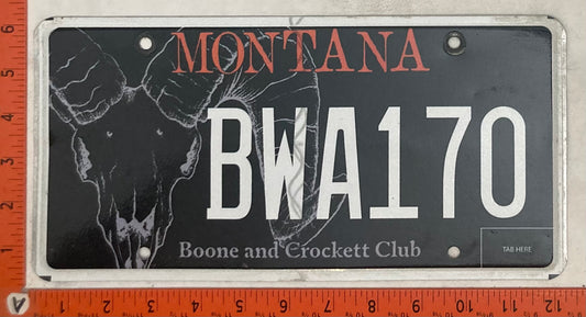 Undated Montana #BWA170 Passenger License Plate