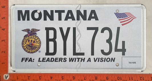 Undated Montana #BYL734 Passenger License Plate