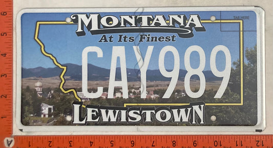 Undated Montana #CAY989 Passenger License Plate