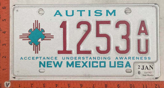 2020 New Mexico #1253A/U Passenger License Plate