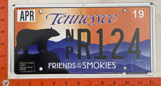 2019 Tennessee #N/P R124 Passenger License Plate