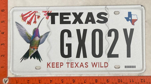 Undated Texas #GX02Y Passenger License Plate