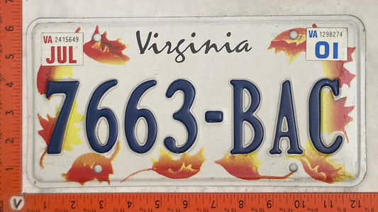 2001 Virginia #7663-BAC Passenger License Plate