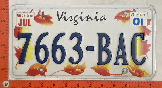 2001 Virginia #7663-BAC Passenger License Plate