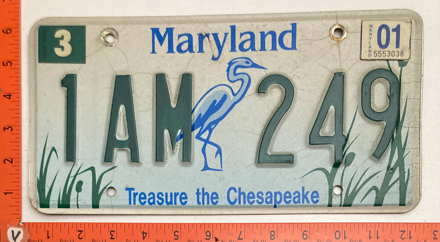 2001 Maryland #1AM 249 Treasure the Chesapeake Passenger License Plate