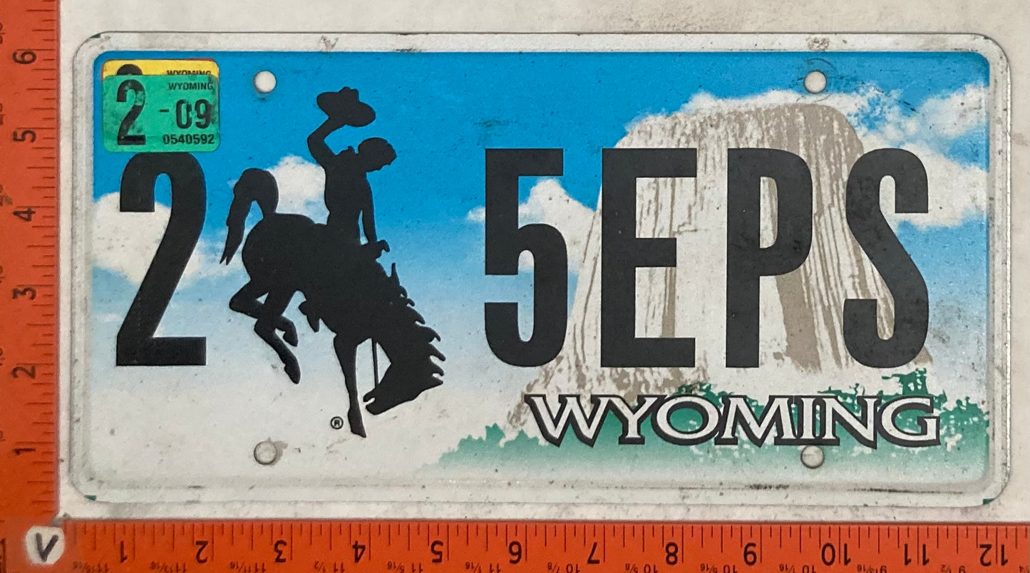 2009 Wyoming #2 5EPS Passenger License Plate