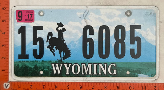 2017 Wyoming #15 6085 Passenger License Plate