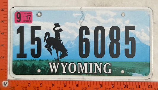 2017 Wyoming #15 6085 Passenger License Plate