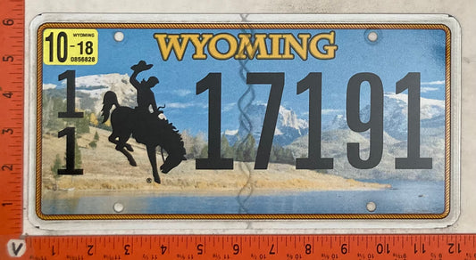 2018 Wyoming #1/1 17191 Passenger License Plate