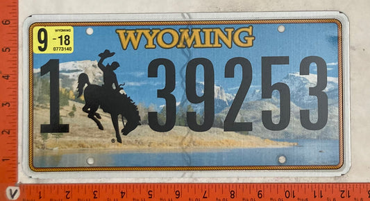 2018 Wyoming #1 39253 Passenger License Plate