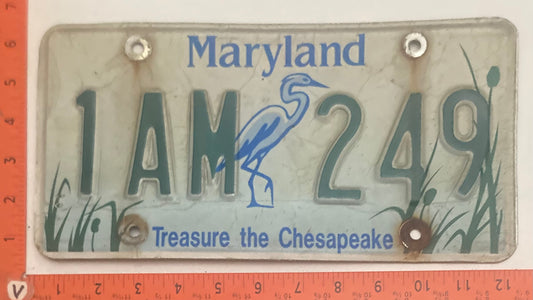 Maryland #1AM 249 Treasure the Chesapeake Passenger License Plate