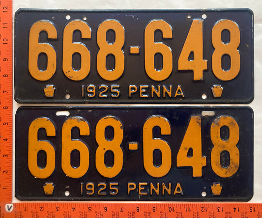 1925 Pennsylvania #668-648 Passenger License Plate (Pair)