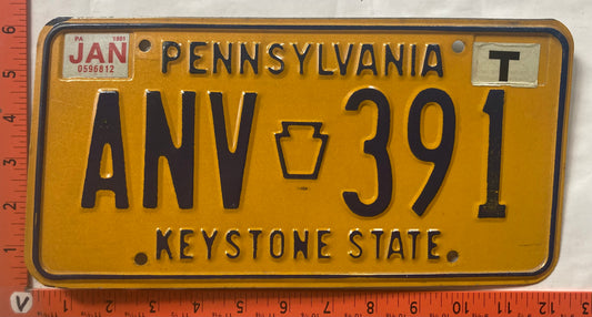 1980 Pennsylvania #ANV 391 Passenger License Plate