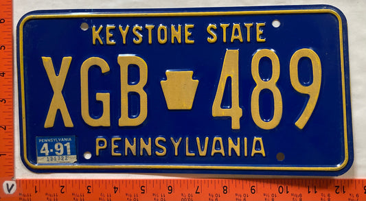 1991 Pennsylvania #XGB 489 Passenger License Plate