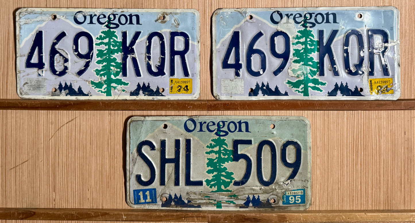 Group of 3 Oregon Passenger License Plates (Crafter)