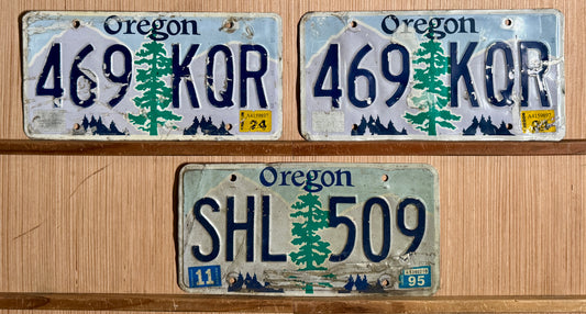 Group of 3 Oregon Passenger License Plates (Crafter)