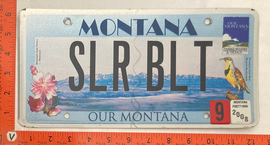 2008 Montana #SLR BLT Passenger License Plate
