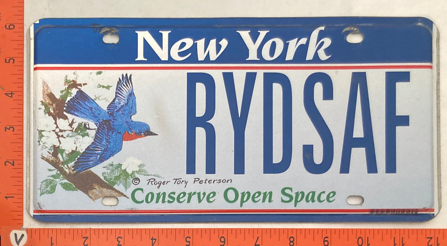 Undated New York #RYDSAF Passenger License Plate