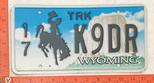 Undated Wyoming #1/7 K9DR Passenger Vanity License Plate