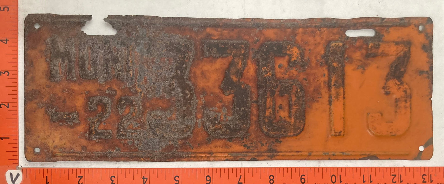 1922 Montana #33613 Passenger License Plate