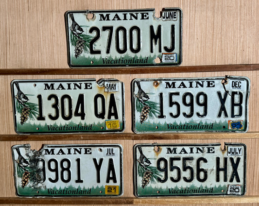 Group of 5 Maine Passenger License Plates (Crafter)