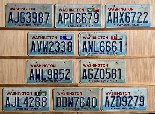 Group of 10 Washington Passenger License Plates (Crafter)