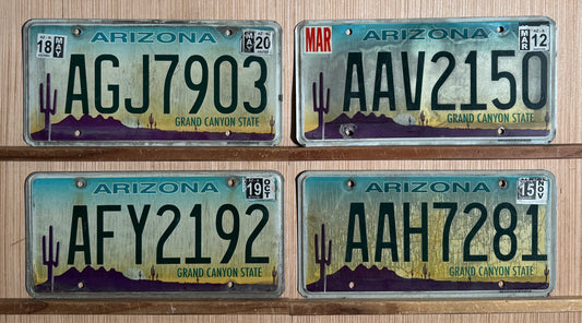 Group of 4 Arizona Passenger License Plates (Crafter)