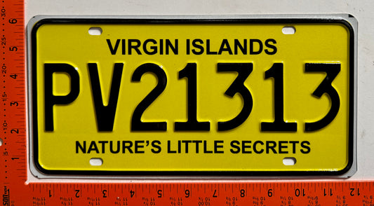 2001 base British Virgin Islands #PV21313 Passenger License Plate