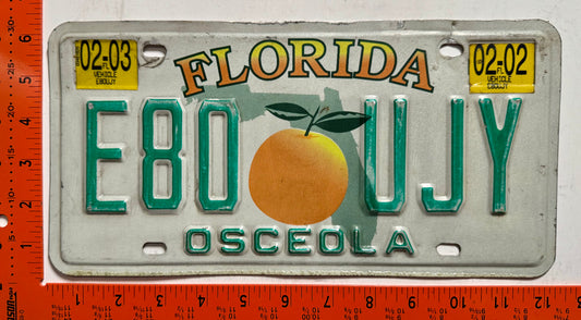 2002/2003 Florida #E80 UJY Passenger License Plate