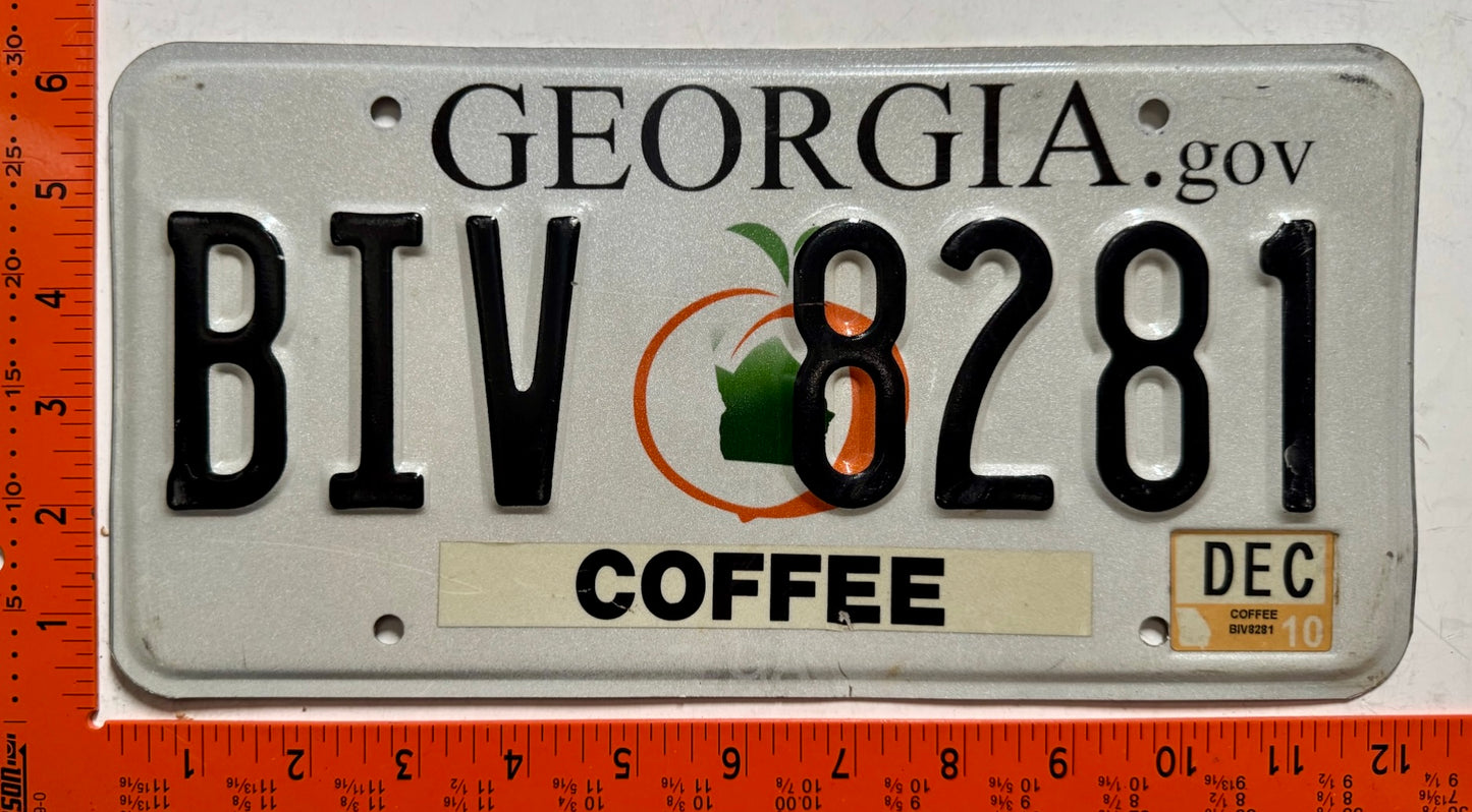 2010 Georgia #BIV 8281 Passenger License Plate