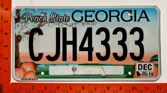 2019 Georgia #CJH4333 Passenger License Plate