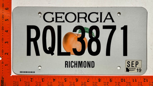 2019 Georgia #RQL3871 Passenger License Plate