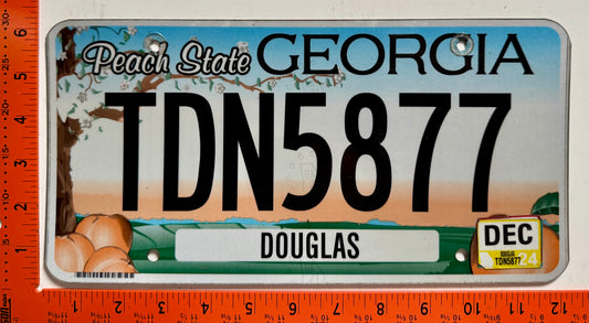 2024 Georgia #TDN5877 Passenger License Plate