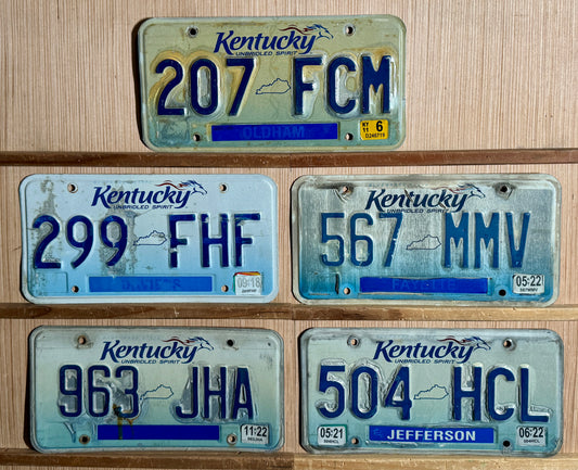 Group of 5 Kentucky Passenger License Plates (Crafter)