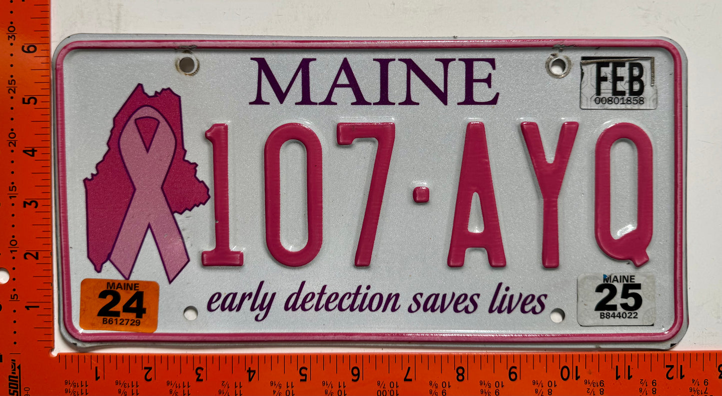 2024/2025 Maine #107-AYQ Passenger Breast Cancer License Plate