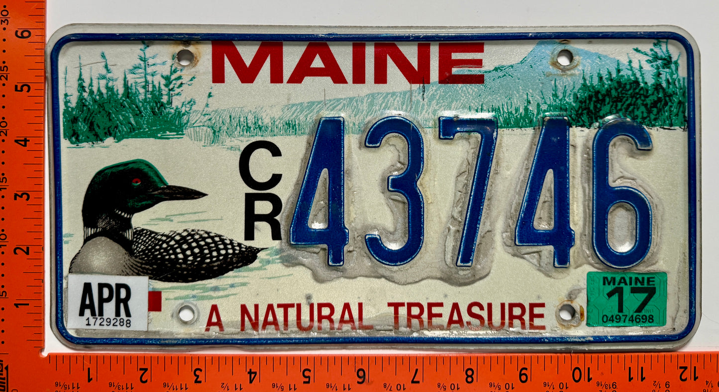 2017 Maine #C/R 43746 Natural Treasure Loon License Plate